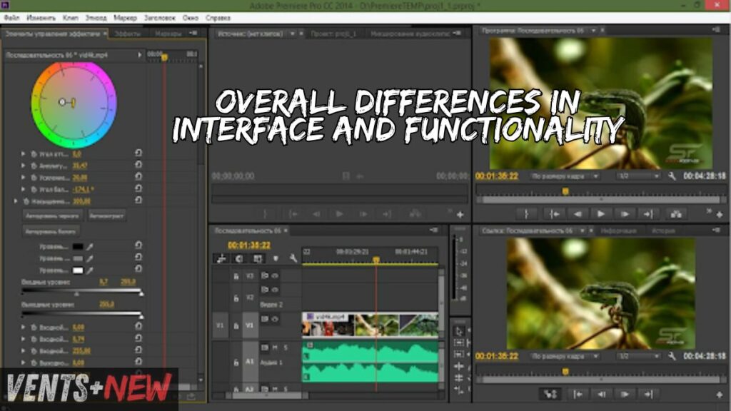 Overall Differences in Interface and Functionality