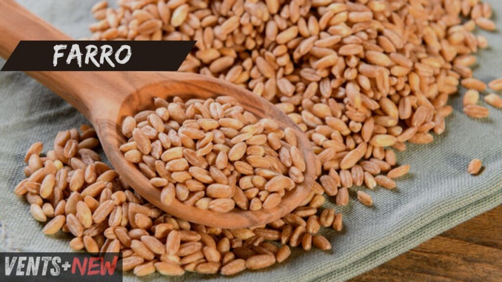 Farro